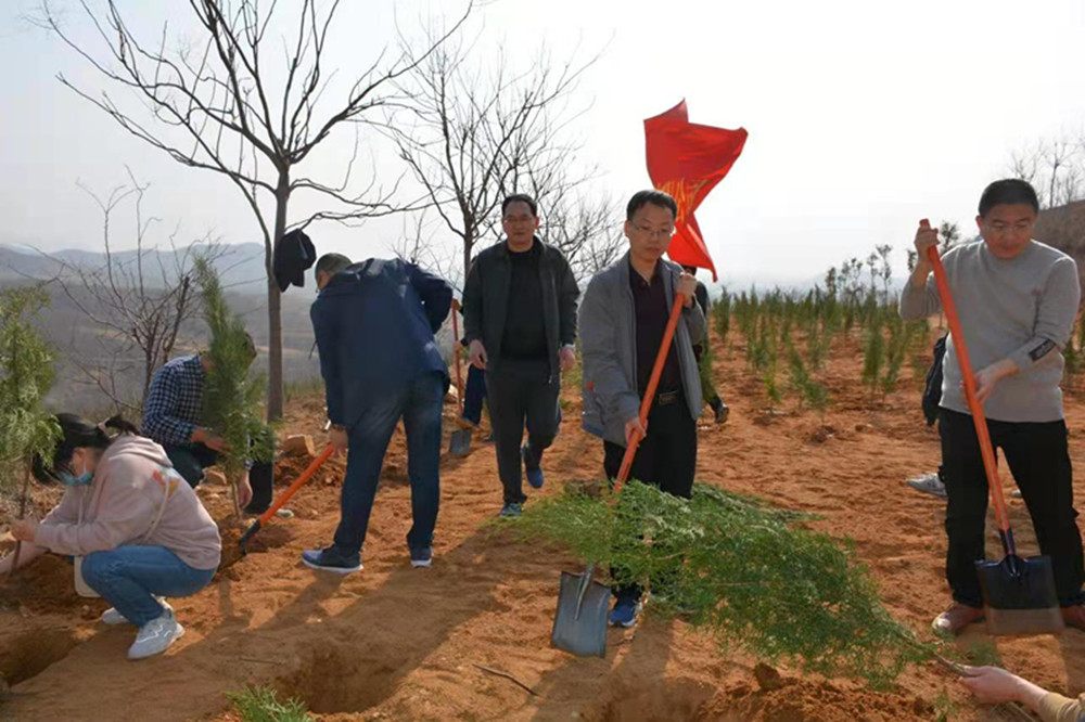 文博中心項(xiàng)目部臨時(shí)黨支部開展義務(wù)植樹主題黨日活動(dòng)